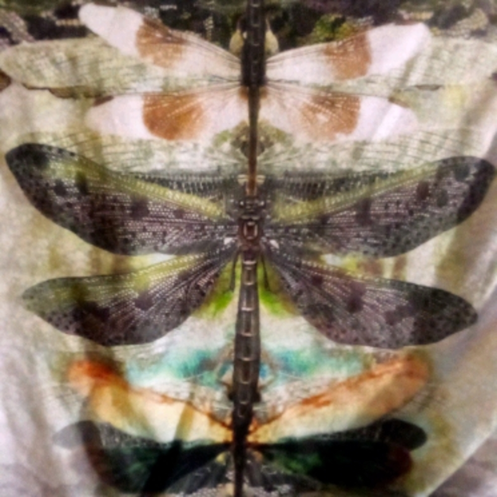 Dragonfly Kisses Sale NWOT